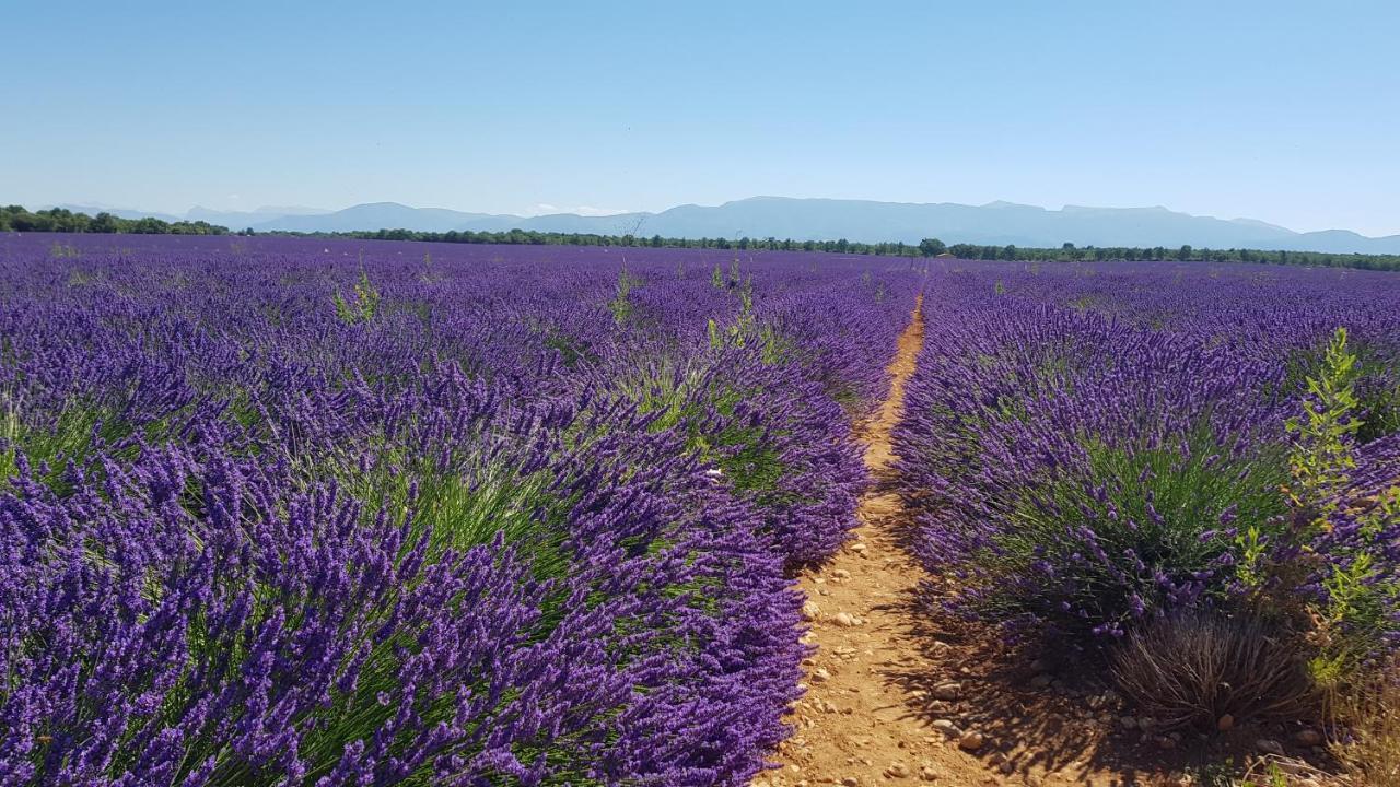 Logement Tout Confort Au Calme Entre Saint Tropez Et Les Gorges Du Verdon 勒托霍奈 外观 照片